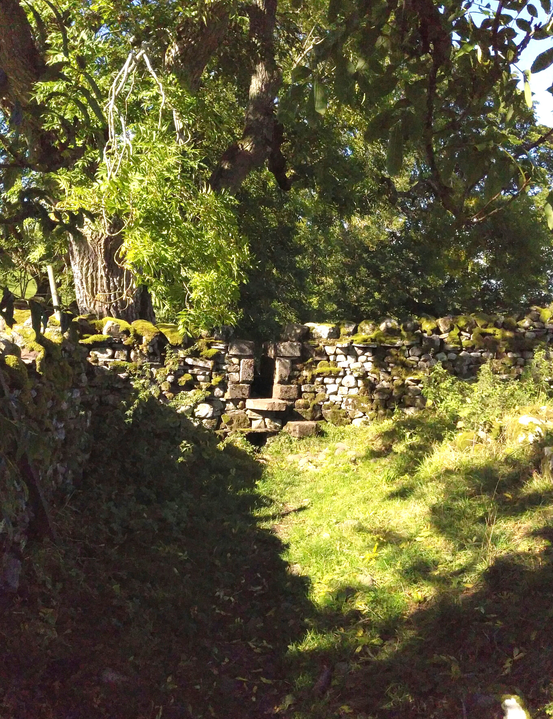 05