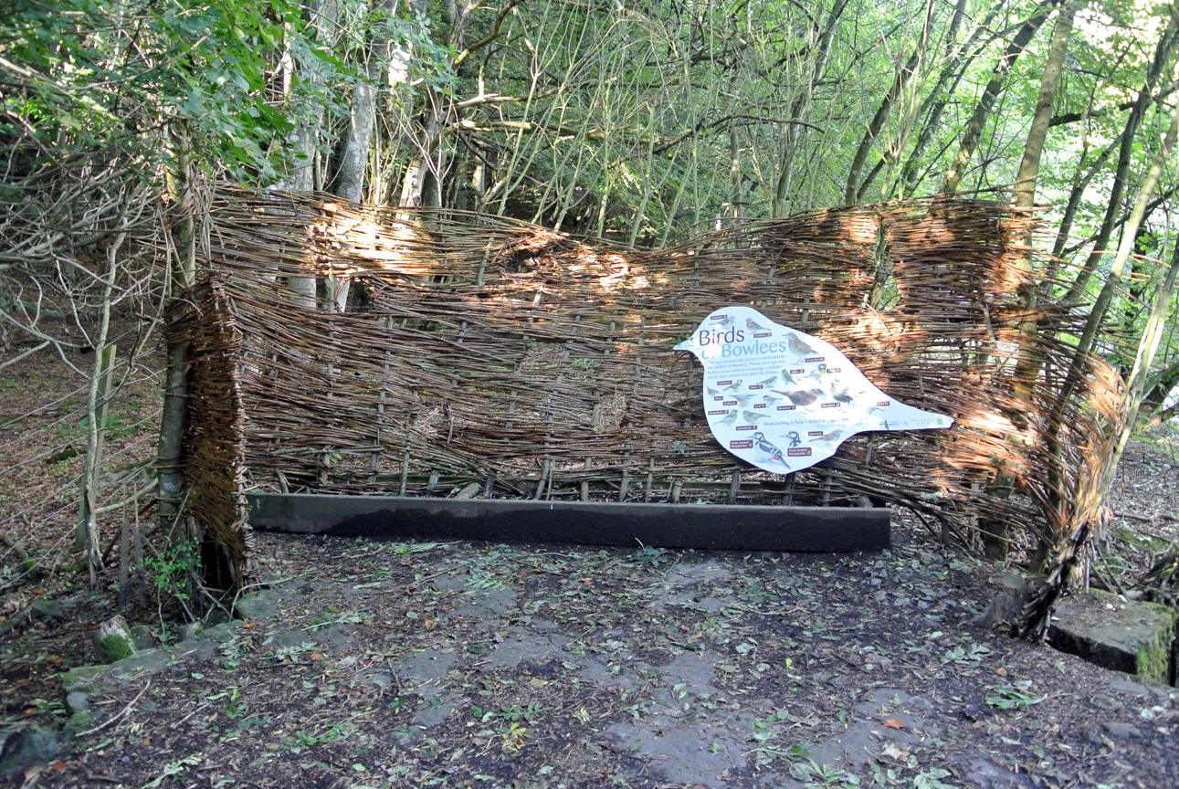 Bird Hide