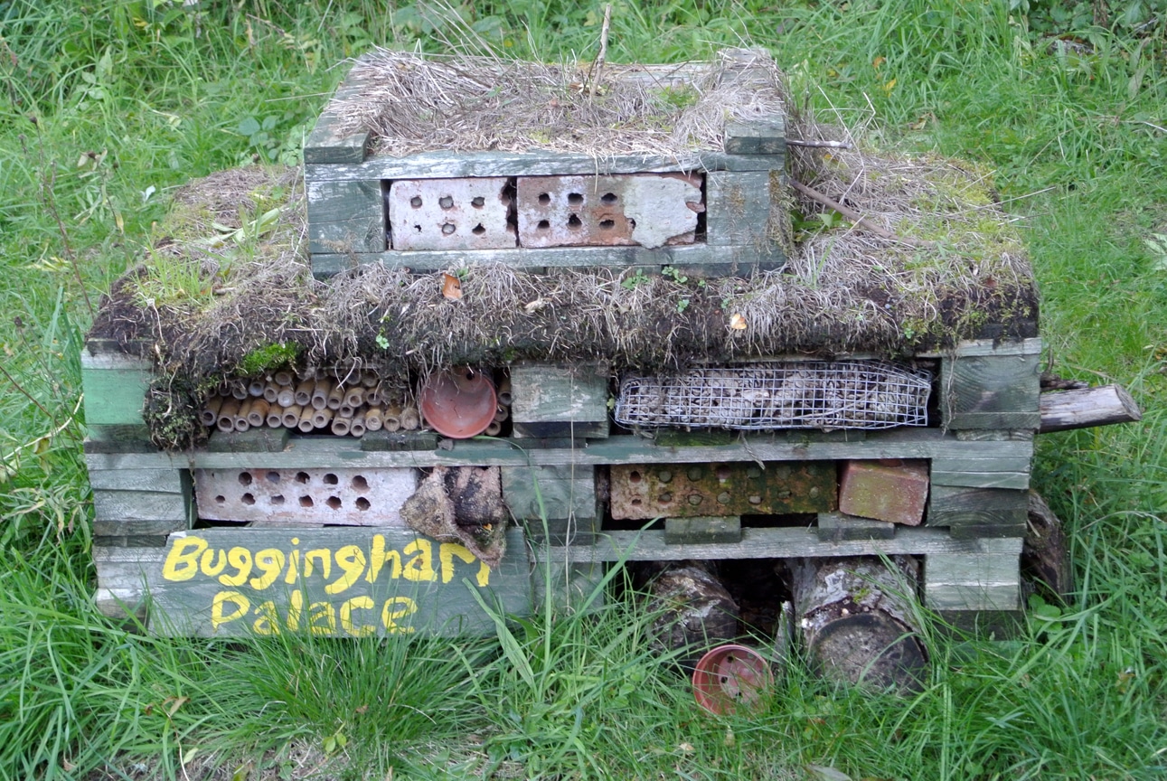 Bug Palace