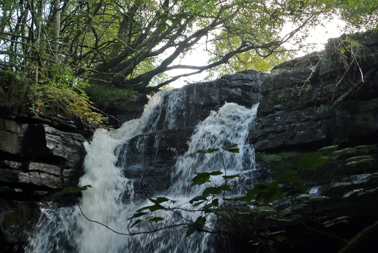 Waterfall 01