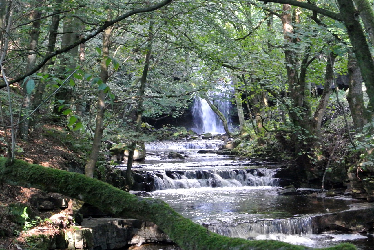 Waterfall 02