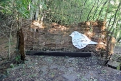 Bird Hide