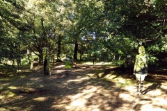 01-Landscape-Featured-Image