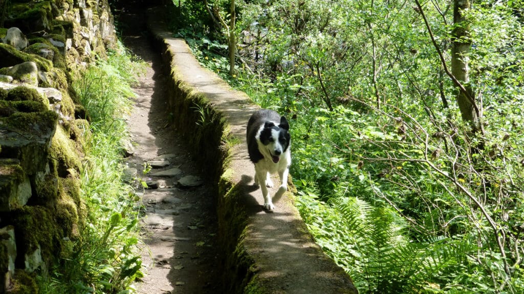 Teesdale Way
